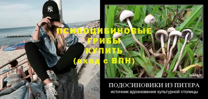 Псилоцибиновые грибы Magic Shrooms  Ливны 